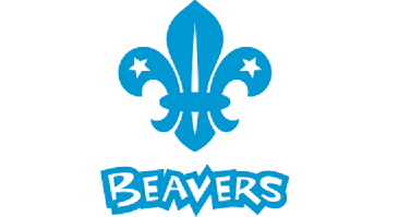 Thumbnail for the post titled: Beavers